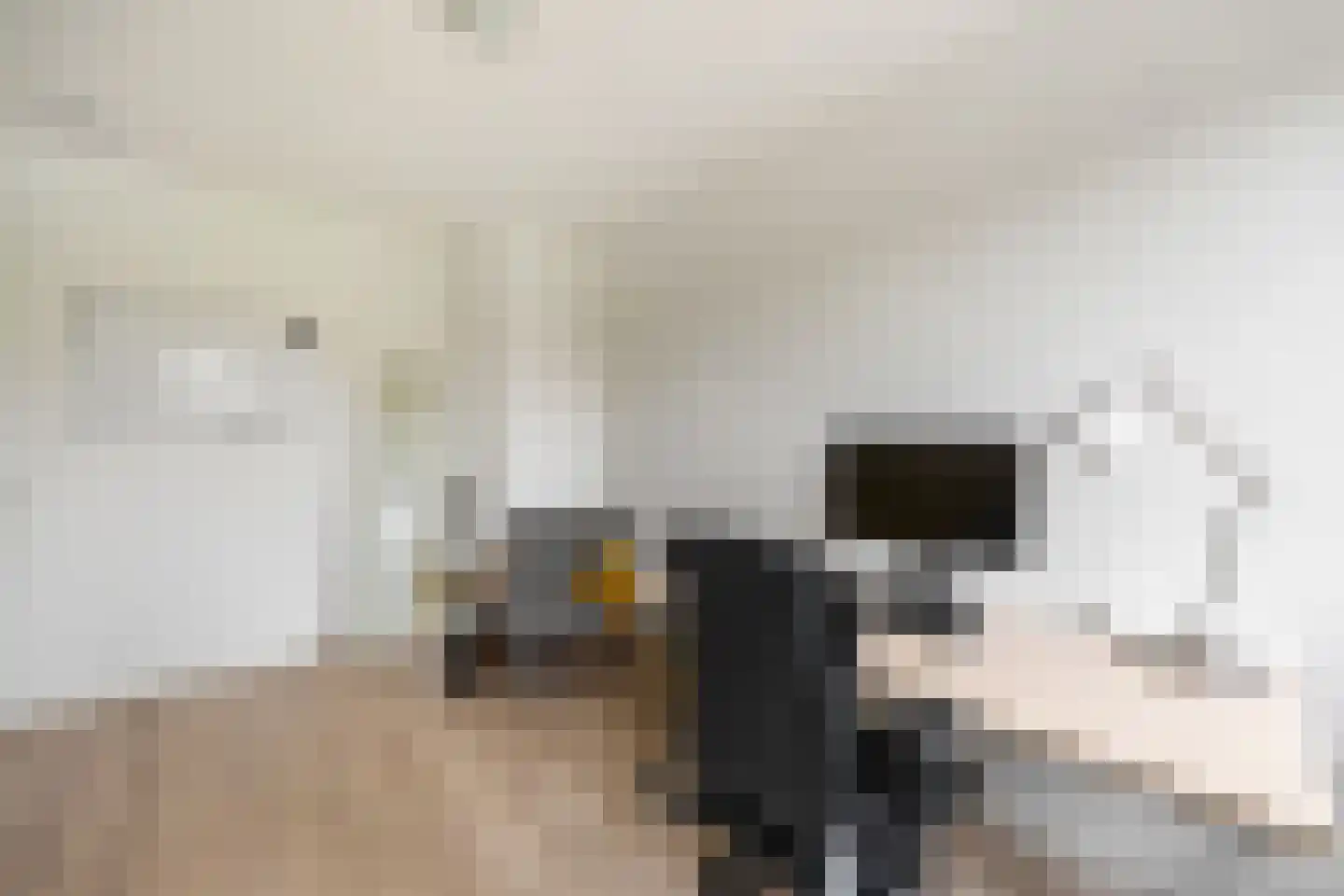 Willem Hanegraaflaan 31 Den Haag thumbnail 27