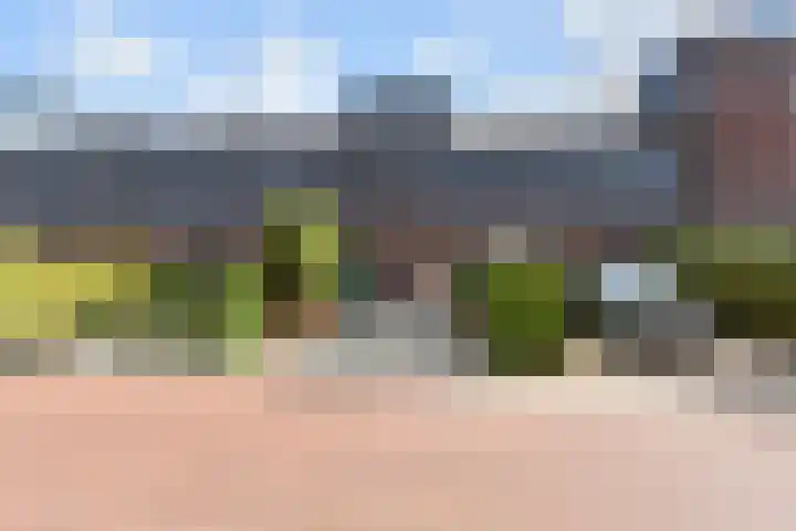 Willem Hanegraaflaan 5 Den Haag