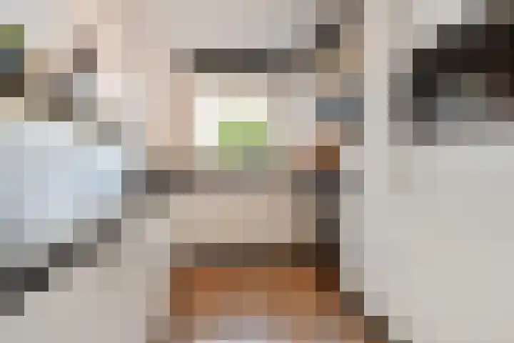 Willem Hanegraaflaan 5 Den Haag thumbnail 13