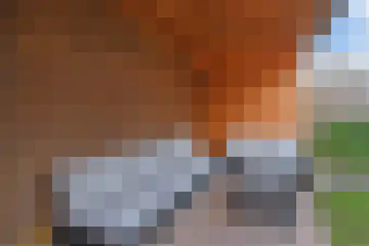 Willem Hanegraaflaan 5 Den Haag thumbnail 19
