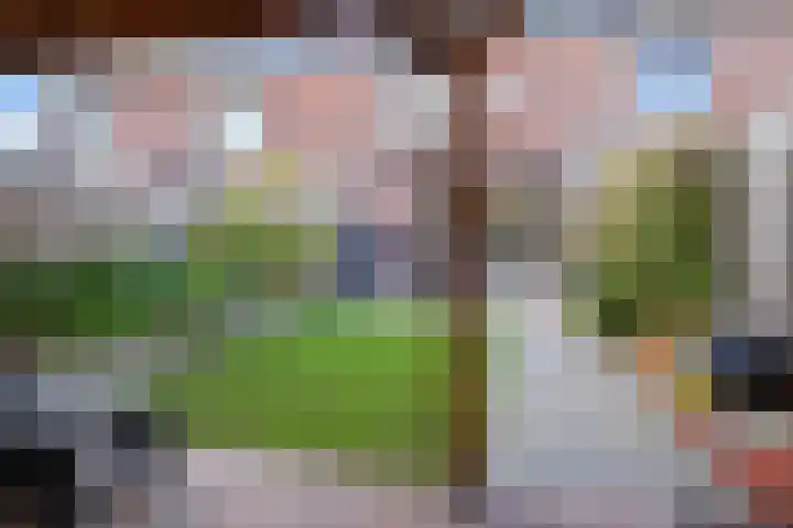 Willem Hanegraaflaan 5 Den Haag thumbnail 20