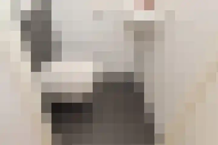 Willem Hanegraaflaan 5 Den Haag thumbnail 22