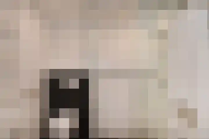 Willem Hanegraaflaan 5 Den Haag thumbnail 31