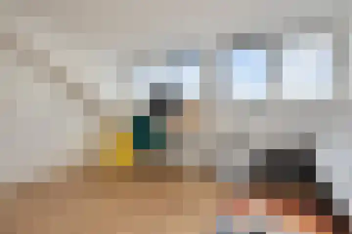 Willem Hanegraaflaan 5 Den Haag thumbnail 34