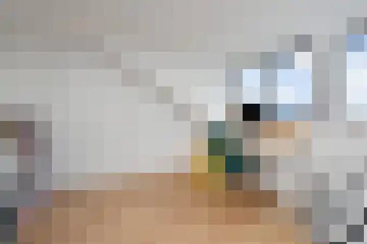 Willem Hanegraaflaan 5 Den Haag thumbnail 35