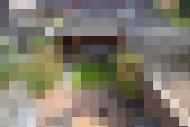 Willem Hanegraaflaan 5 Den Haag thumbnail 37