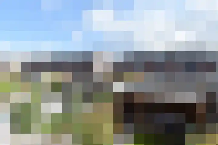 Willem Hanegraaflaan 5 Den Haag thumbnail 38