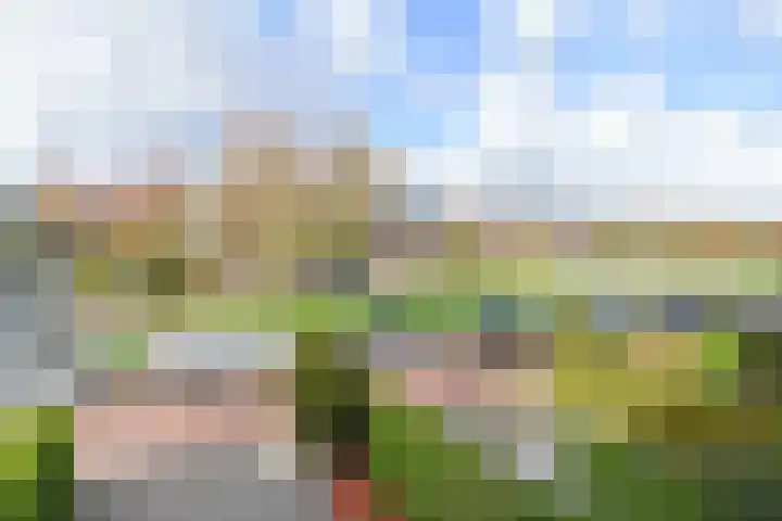 Willem Hanegraaflaan 5 Den Haag thumbnail 40