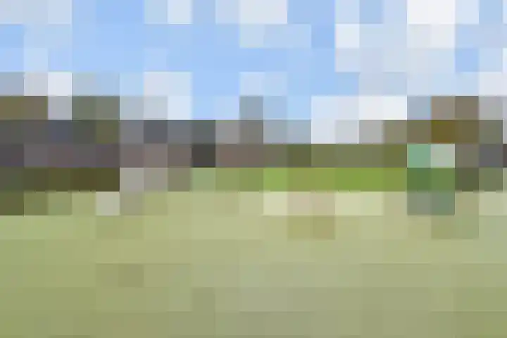 Willem Hanegraaflaan 5 Den Haag thumbnail 42