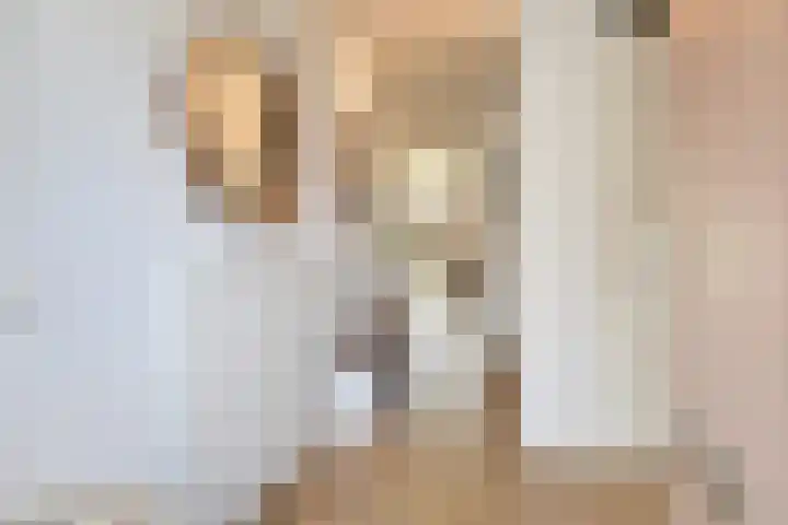 Willem Hanegraaflaan 5 Den Haag thumbnail 6