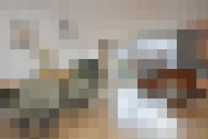 Willem Hanegraaflaan 5 Den Haag thumbnail 7