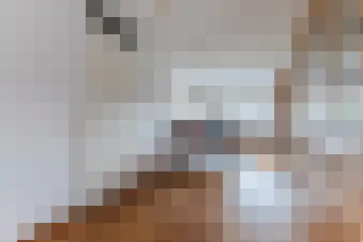 Willem Hedastraat 111 Alkmaar thumbnail 15