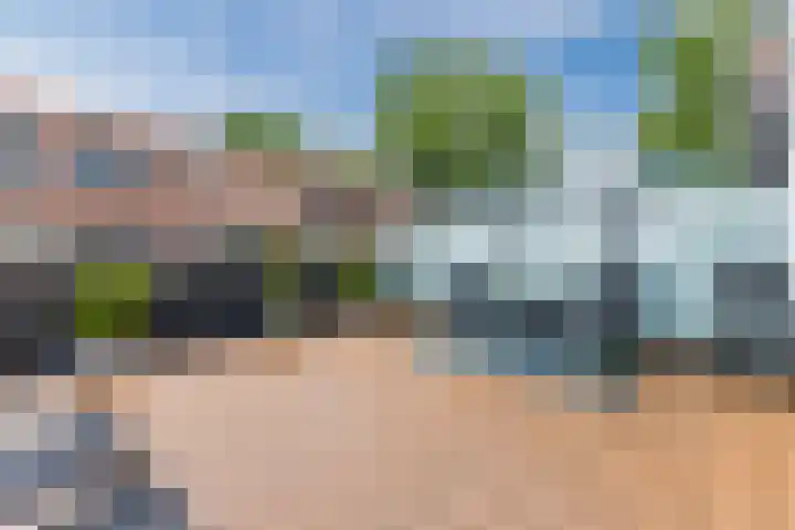 Willem Hedastraat 111 Alkmaar thumbnail 22