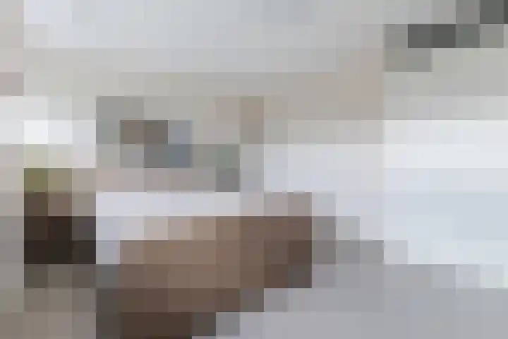 Willem Hedastraat 111 Alkmaar thumbnail 28