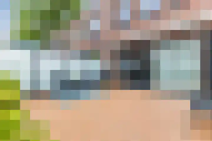 Willem Hedastraat 111 Alkmaar thumbnail 4