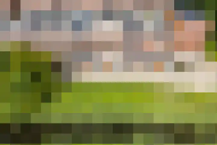 Willem Hedastraat 111 Alkmaar thumbnail 44