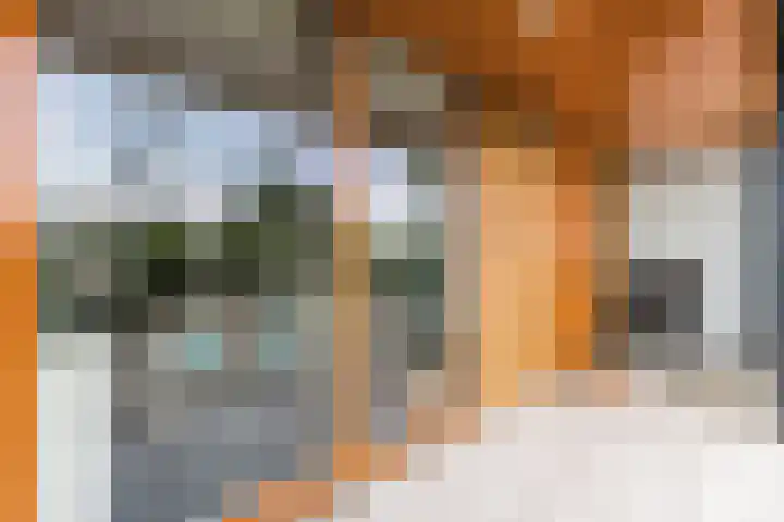 Willem Hedastraat 111 Alkmaar thumbnail 6