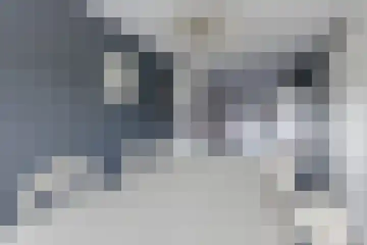 Willem Hedastraat 111 Alkmaar thumbnail 9