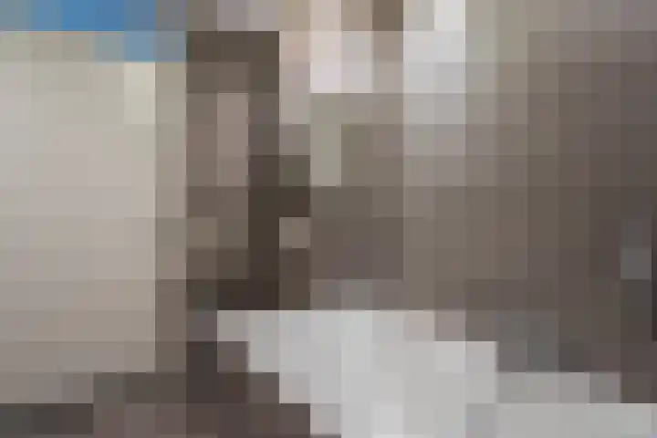 Willem Hedastraat 13 Alkmaar thumbnail 25