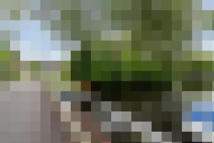 Willem Hedastraat 13 Alkmaar thumbnail 34