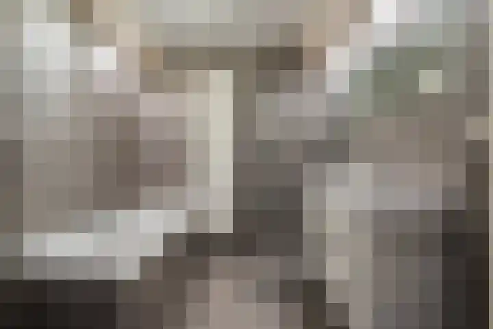 Willem Hedastraat 13 Alkmaar thumbnail 4