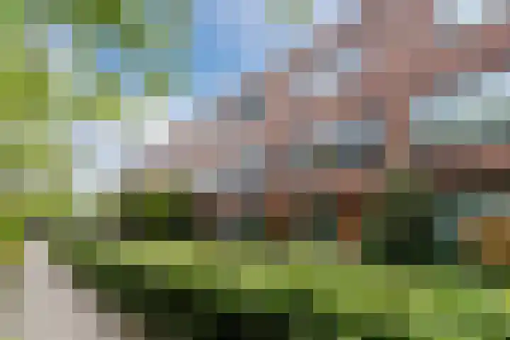Willem Hedastraat 13 Alkmaar thumbnail 7