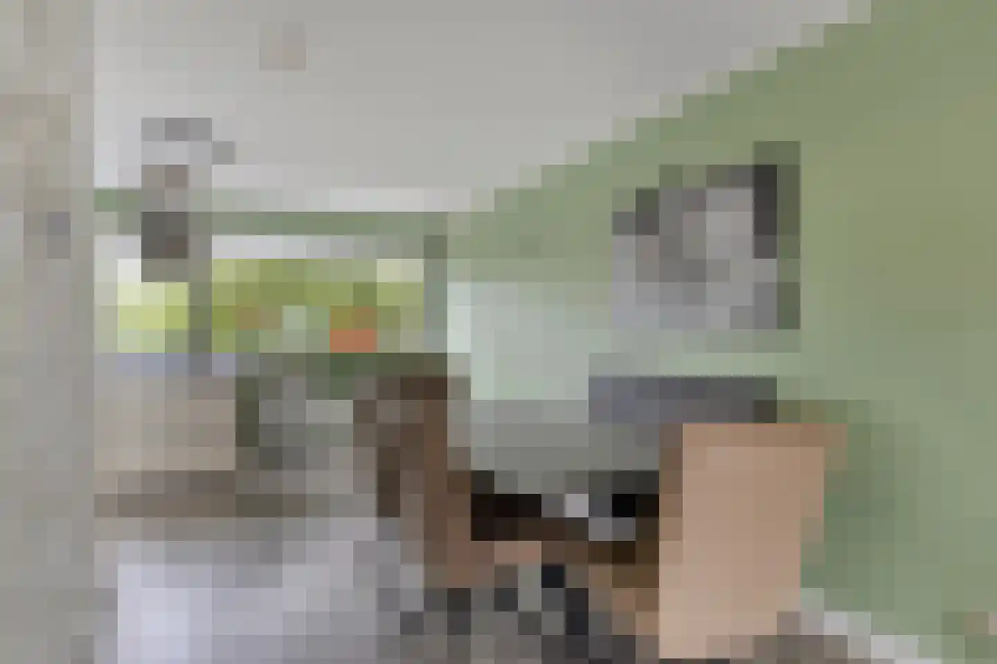 Willem Hedastraat 149 Alkmaar thumbnail 19