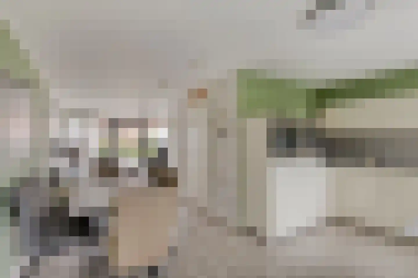 Willem Hedastraat 149 Alkmaar thumbnail 22