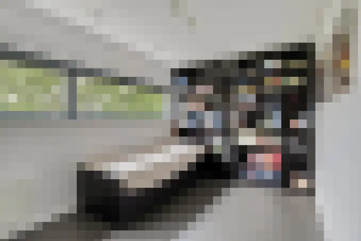 Willem Hedastraat 149 Alkmaar thumbnail 37