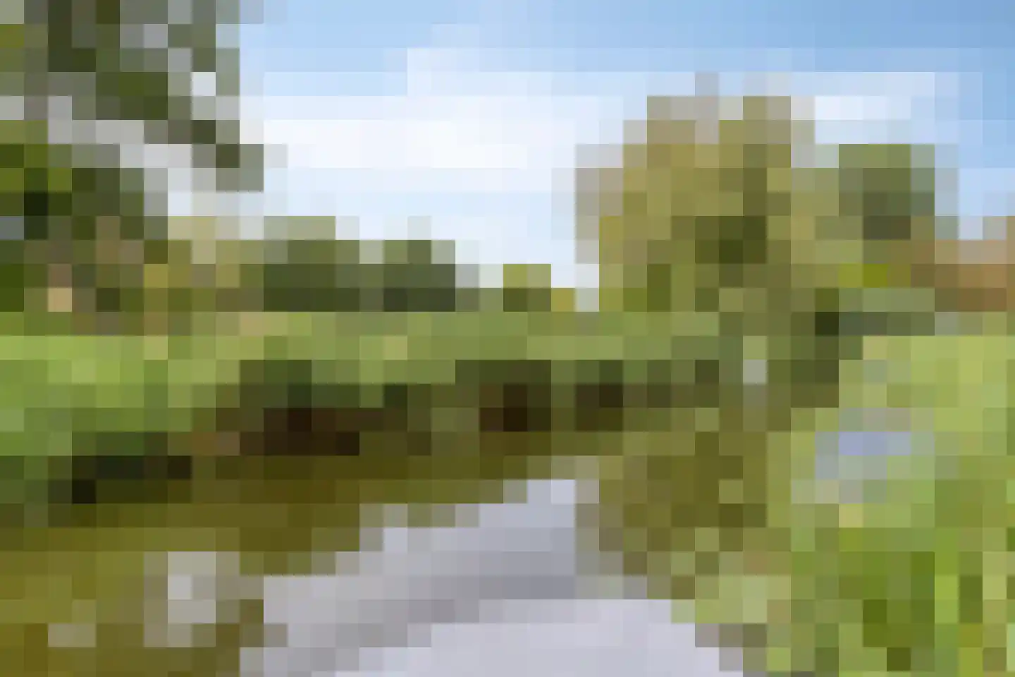 Willem Hedastraat 149 Alkmaar thumbnail 42