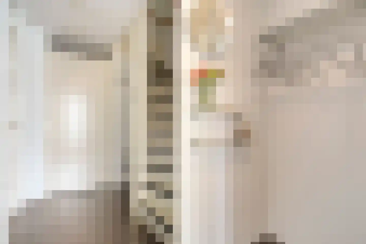 Willem Hedastraat 149 Alkmaar thumbnail 8