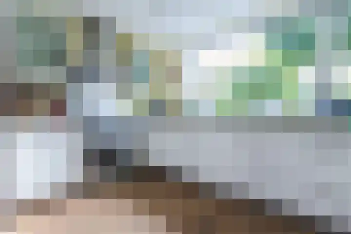 Willem Hedastraat 16 Alkmaar thumbnail 17