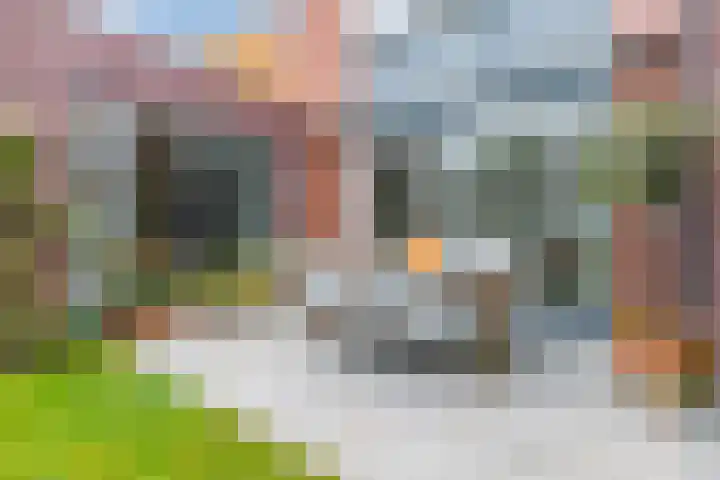 Willem Hedastraat 16 Alkmaar thumbnail 4