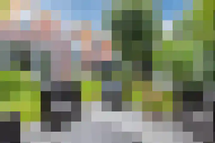 Willem Hedastraat 16 Alkmaar thumbnail 42