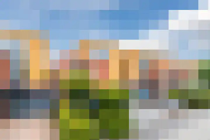Willem Hedastraat 16 Alkmaar thumbnail 5