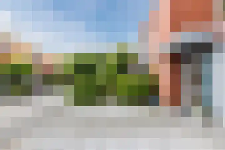 Willem Hedastraat 16 Alkmaar thumbnail 6