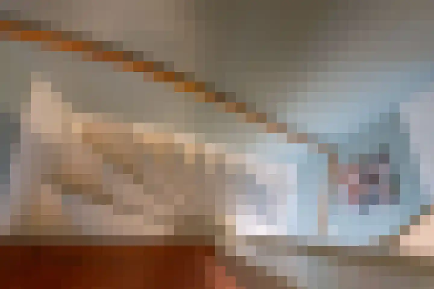 Willem Hedastraat 173 Alkmaar thumbnail 20