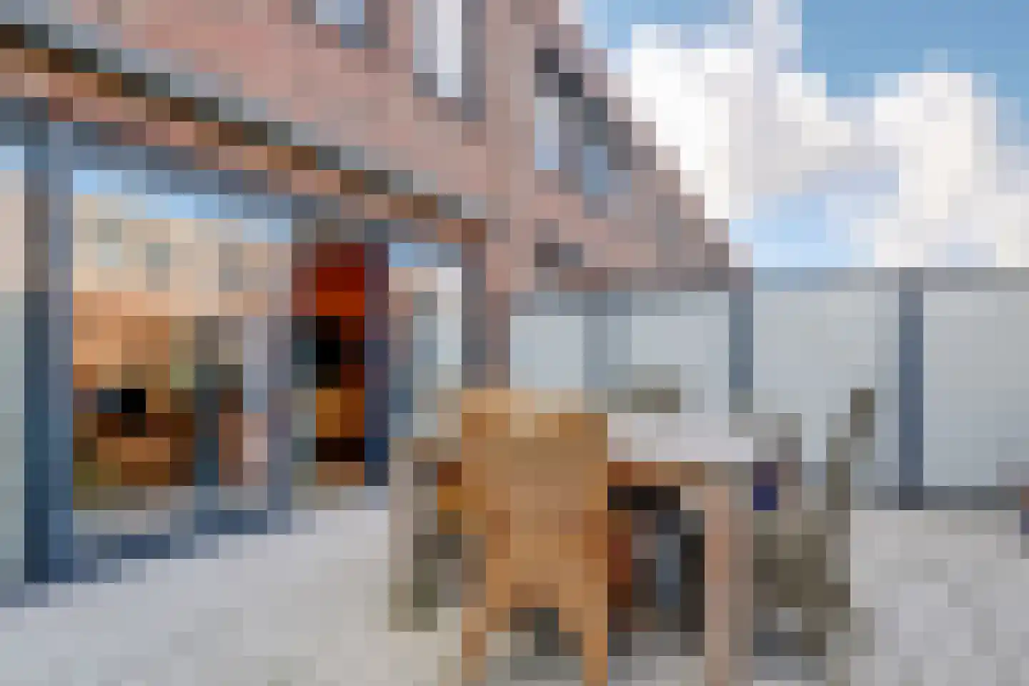 Willem Hedastraat 173 Alkmaar thumbnail 4