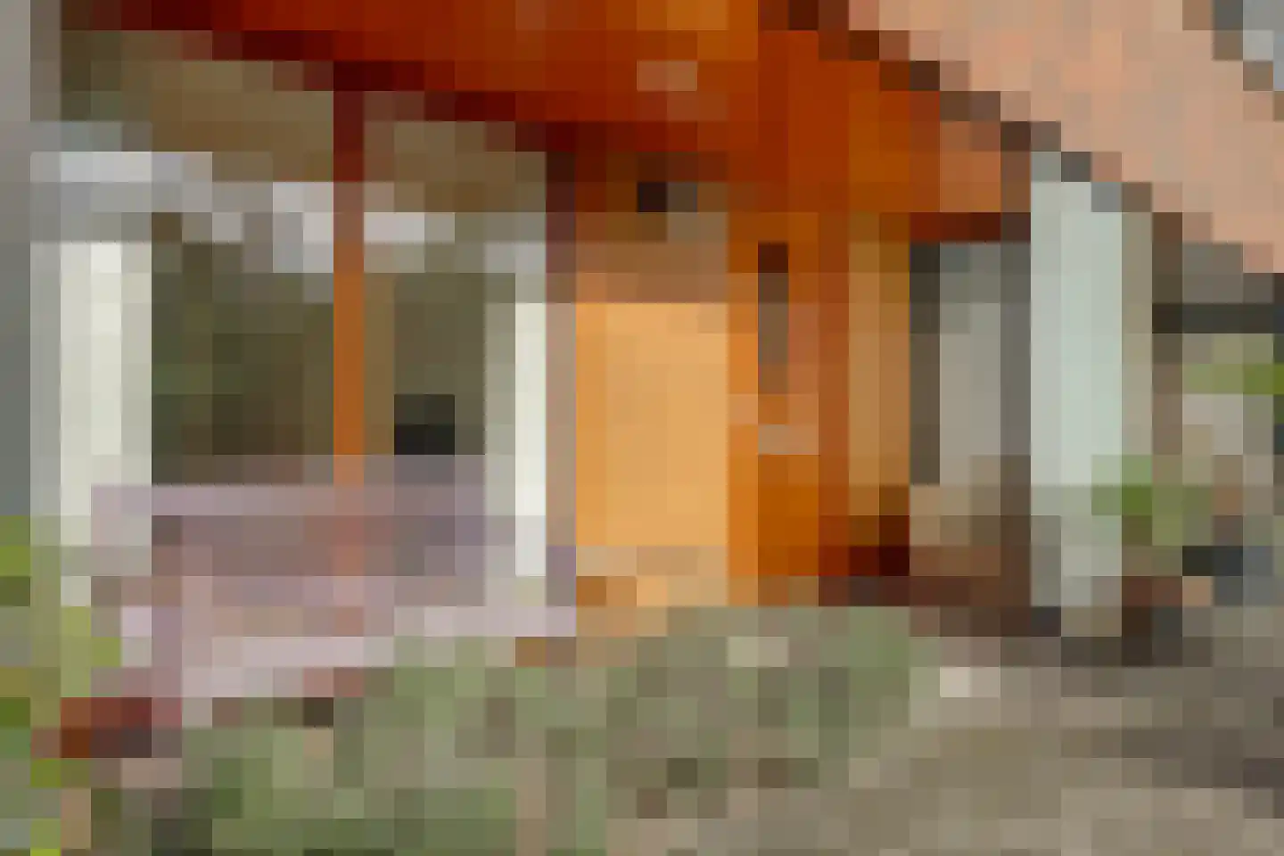 Willem Hedastraat 173 Alkmaar thumbnail 6