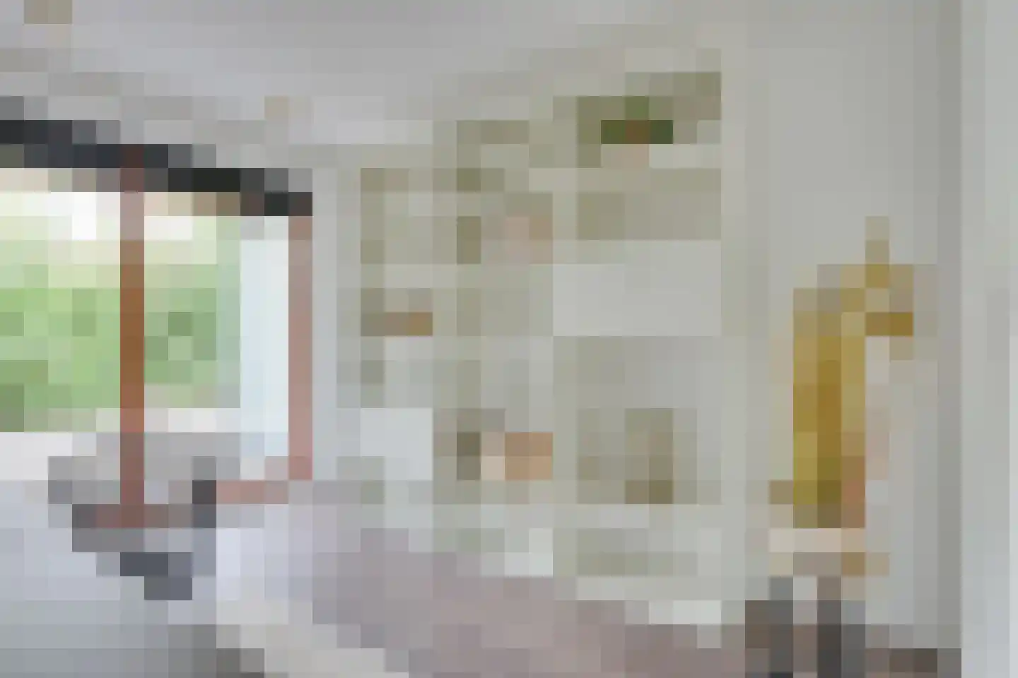 Willem Hedastraat 175 Alkmaar thumbnail 7