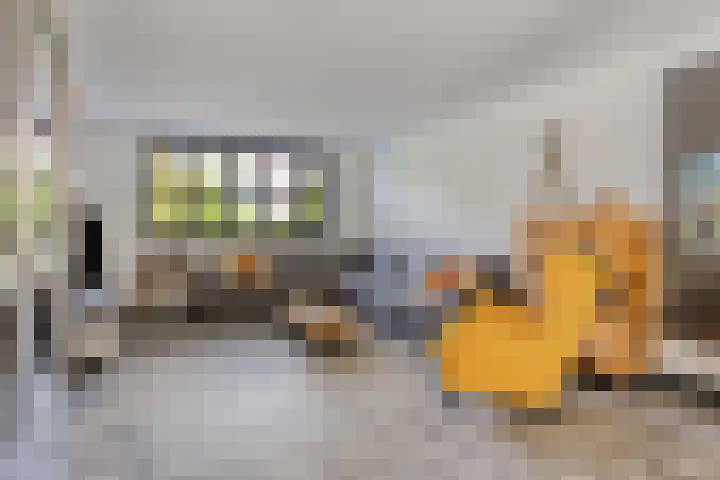 Willem Hedastraat 20 Alkmaar thumbnail 12