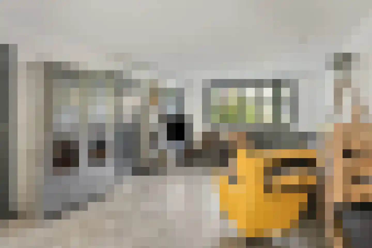 Willem Hedastraat 20 Alkmaar thumbnail 13
