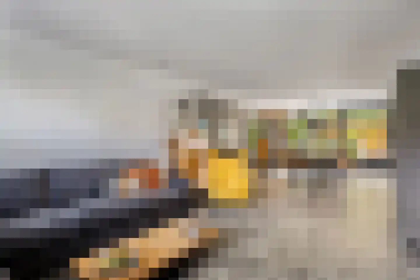 Willem Hedastraat 20 Alkmaar thumbnail 14