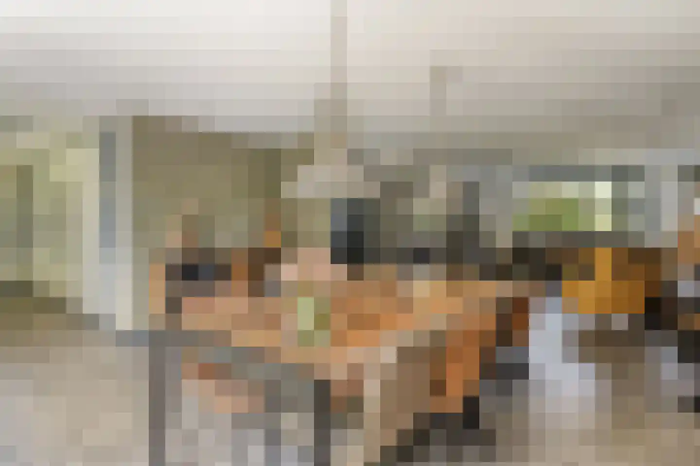 Willem Hedastraat 20 Alkmaar thumbnail 17