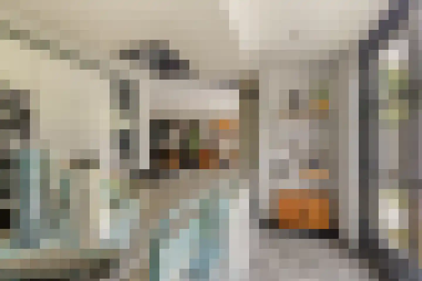 Willem Hedastraat 20 Alkmaar thumbnail 20