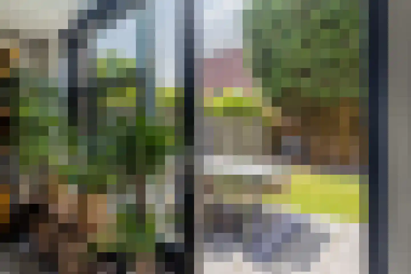 Willem Hedastraat 20 Alkmaar thumbnail 22