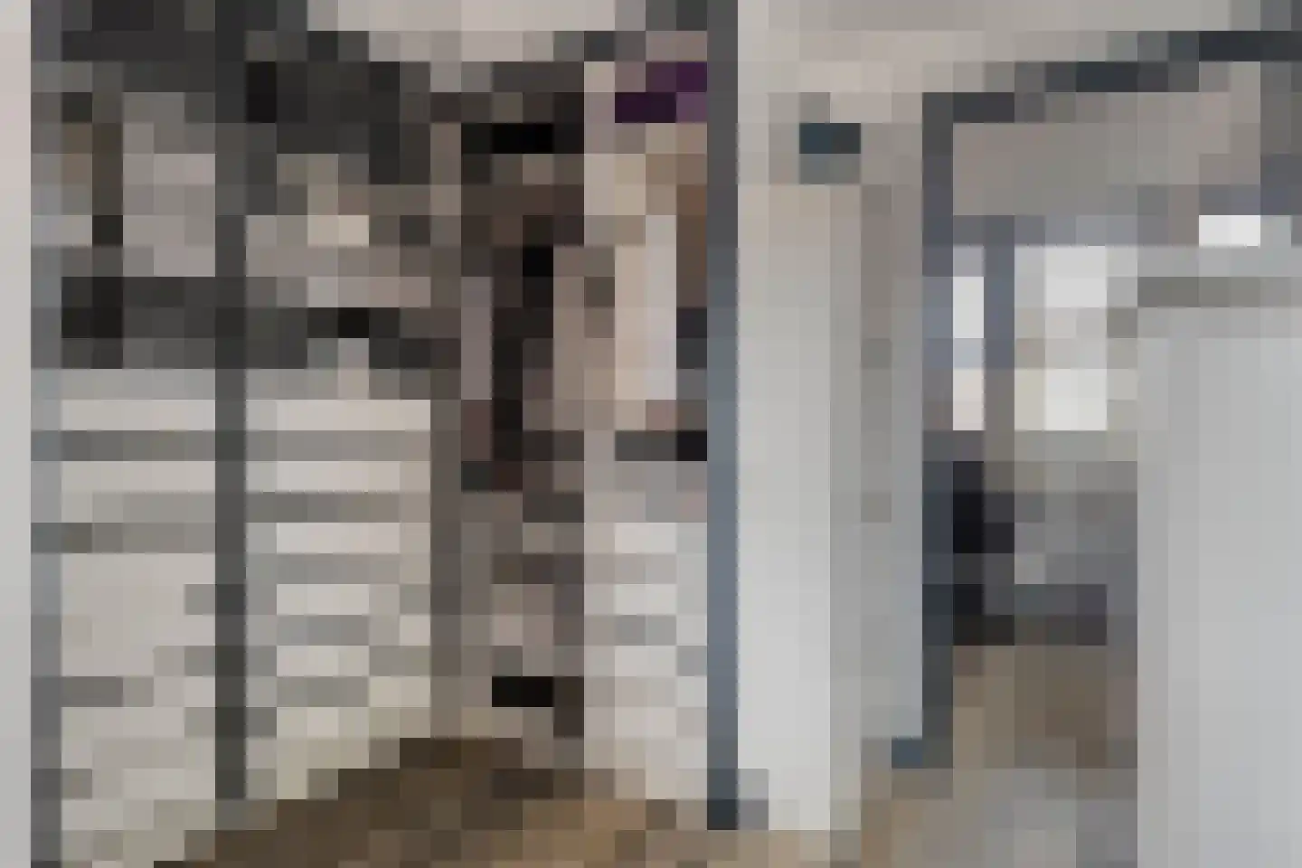 Willem Hedastraat 20 Alkmaar thumbnail 32