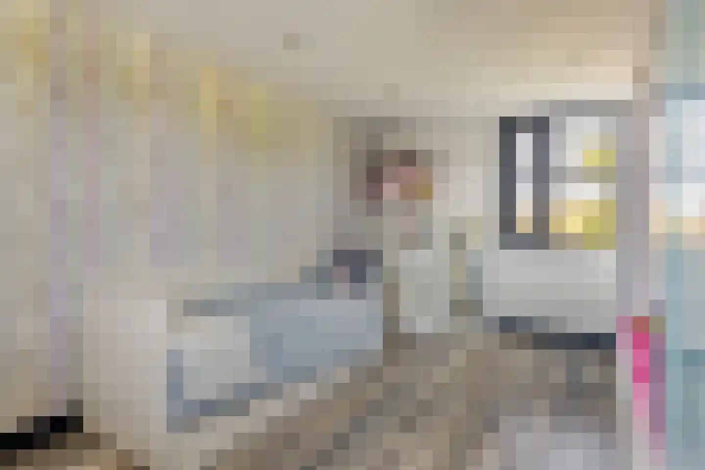 Willem Hedastraat 20 Alkmaar thumbnail 41