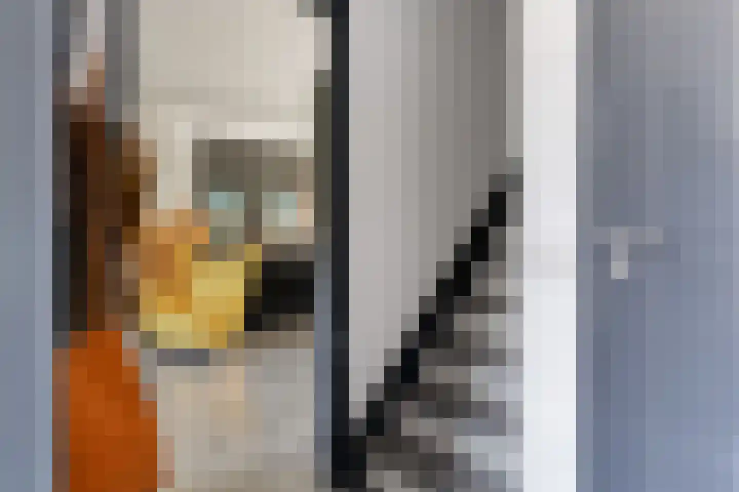 Willem Hedastraat 20 Alkmaar thumbnail 9
