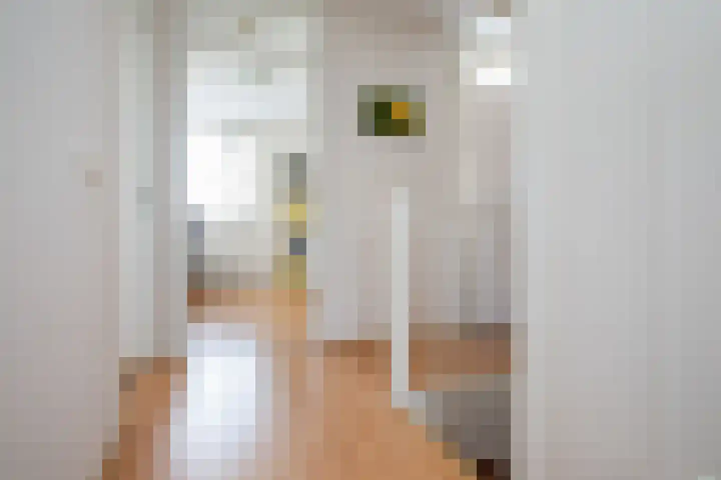 Willem Hedastraat 28 Alkmaar thumbnail 25